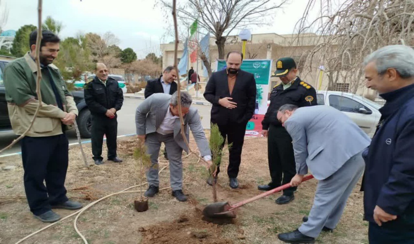 غرس نهال در محوطه دادگستری زرندیه